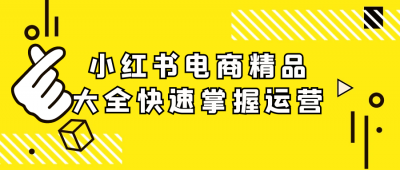 小红书电商精品大全快速掌握运营